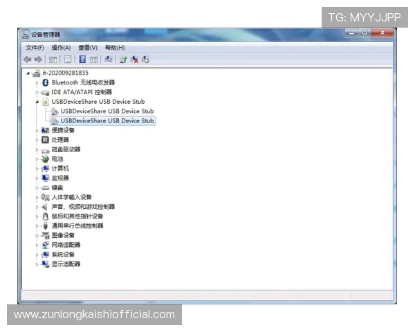 凯时KS在线地址常见问题解答，帮助玩家快速解决登录难题